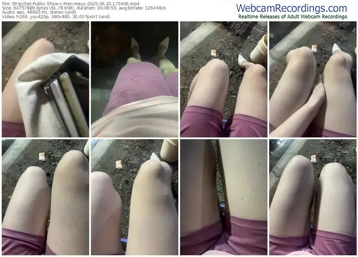 2025/06/22/stripchat-meii-meyy-17-04-06