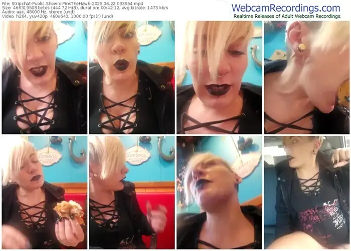 2025/06/22/stripchat-pinkthehawk-03-39-54