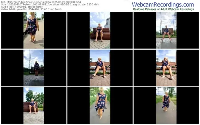 2025/06/22/stripchat-siberia-taiga-00-00-08