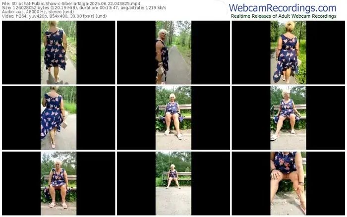 2025/06/22/stripchat-siberia-taiga-04-38-25