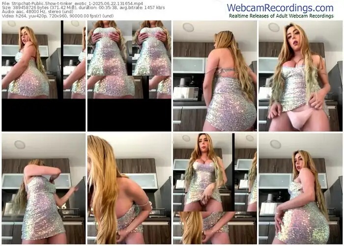 2025/06/22/stripchat-tinker_exotic_1-13-16-54