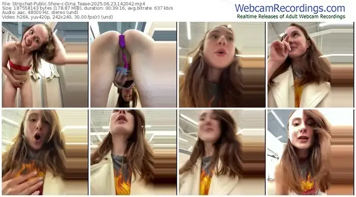 2025/06/23/stripchat-dina_tease-14-20-42