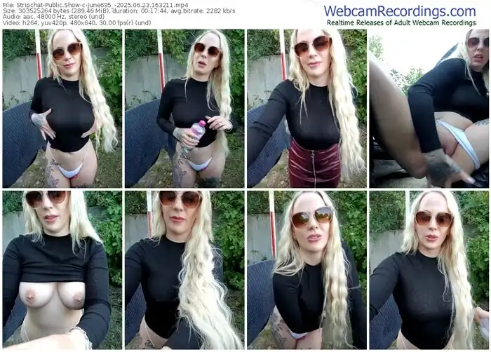 2025/06/23/stripchat-june695_-16-32-11