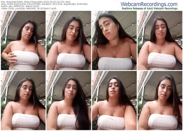 2025/06/23/stripchat-freyja300-12-17-51
