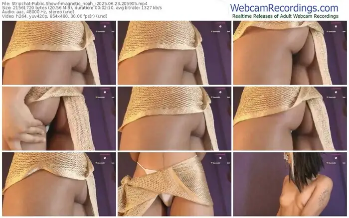 2025/06/23/stripchat-magnetic_noah_-20-59-05