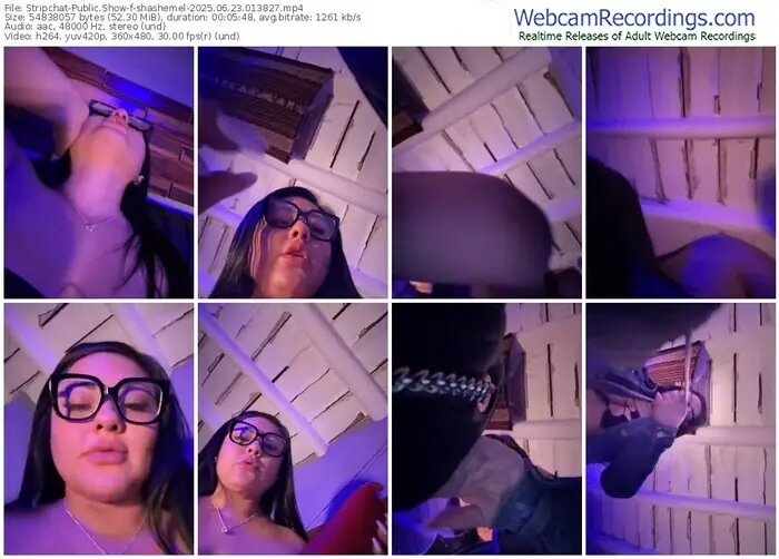 2025/06/23/stripchat-shashemel-01-38-27