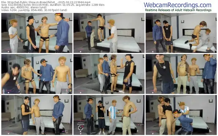 2025/06/23/stripchat-bisexlifehot__-22-39-44