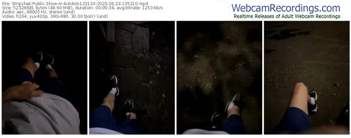 2025/06/23/stripchat-kimkim123123-13-52-10