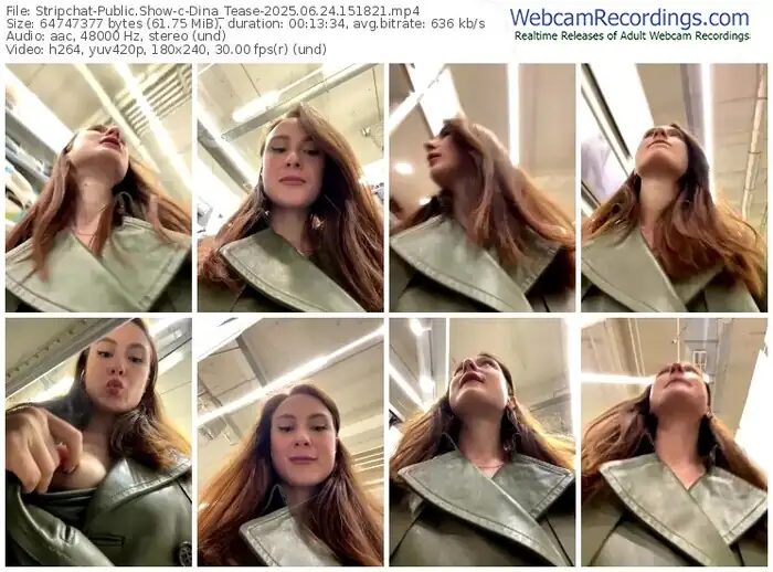 2025/06/24/stripchat-dina_tease-15-18-21