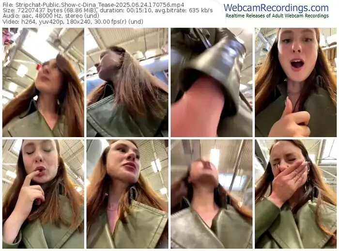 2025/06/24/stripchat-dina_tease-17-07-56