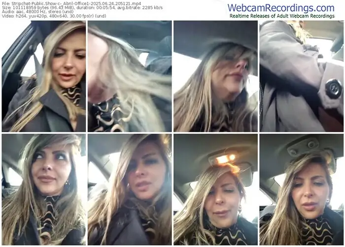 2025/06/24/stripchat-_abril-office1-20-51-21