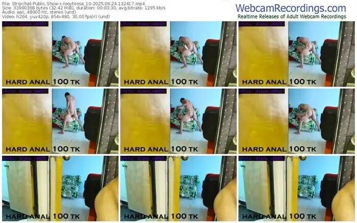 2025/06/24/stripchat-leoytessa_10-13-24-17