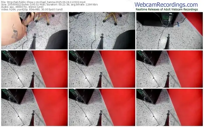 2025/06/24/stripchat-michael_hanna-11-15-02