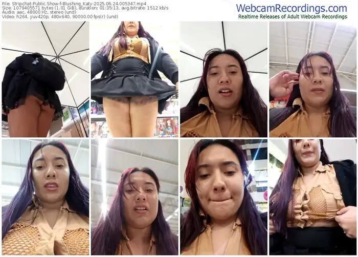 2025/06/24/stripchat-blushing_katy-00-53-47