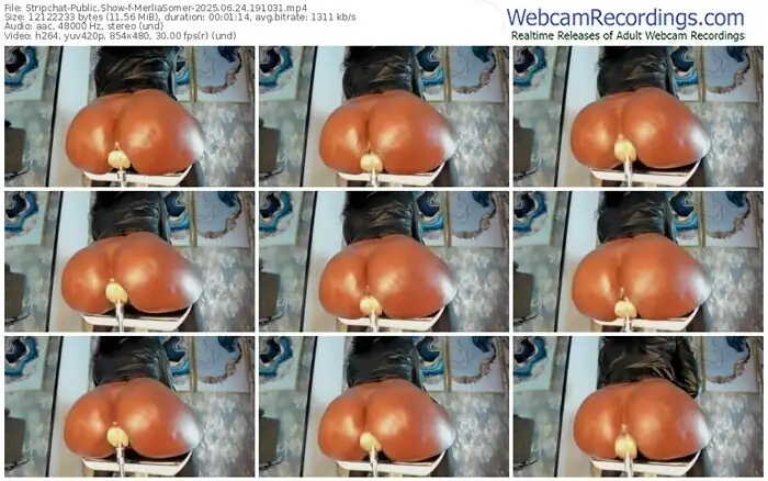 2025/06/24/stripchat-merliasomer-19-10-31