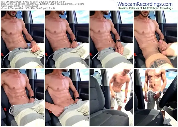 2025/06/24/stripchat-zeefy-10-37-51
