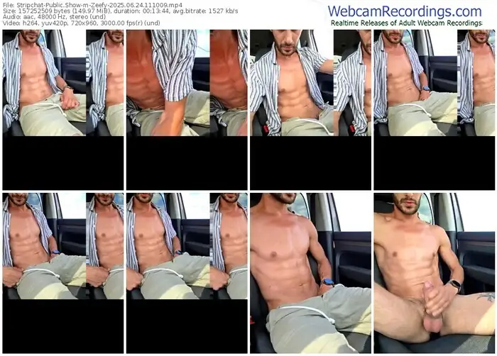 2025/06/24/stripchat-zeefy-11-10-09