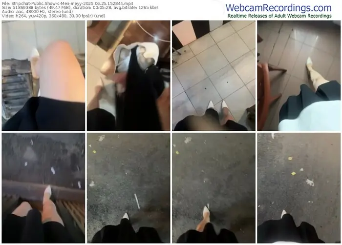 2025/06/25/stripchat-meii-meyy-15-28-44