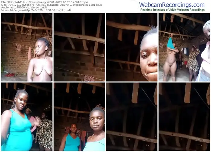2025/06/25/stripchat-holygrail001-14-00-16