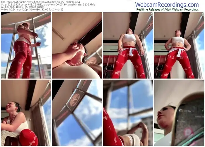 2025/06/25/stripchat-shashemel-13-58-30