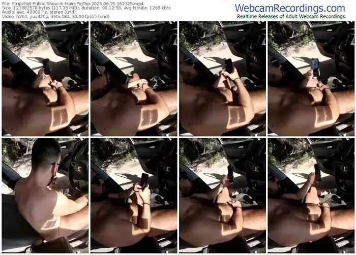 2025/06/25/stripchat-hairypigtop-16-23-25