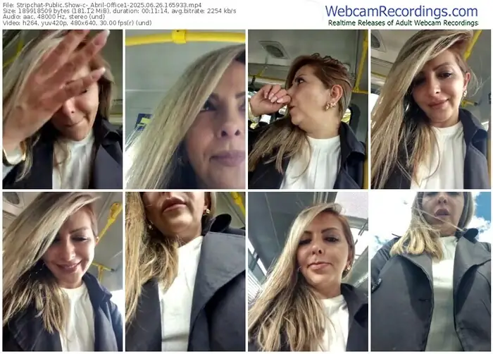 2025/06/26/stripchat-_abril-office1-16-59-33