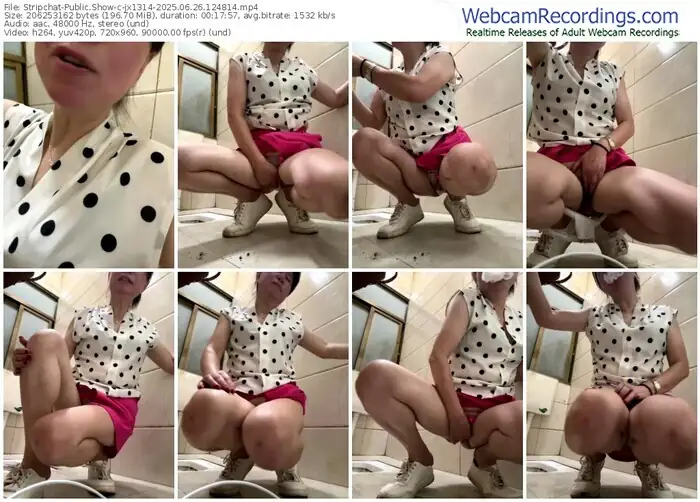 2025/06/26/stripchat-jx1314-12-48-14