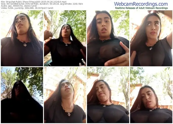 2025/06/26/stripchat-freyja300-10-24-16