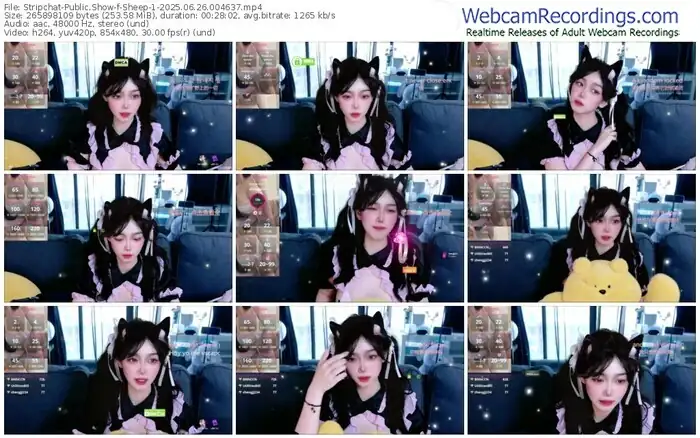 2025/06/26/stripchat-sheep-1-00-46-37