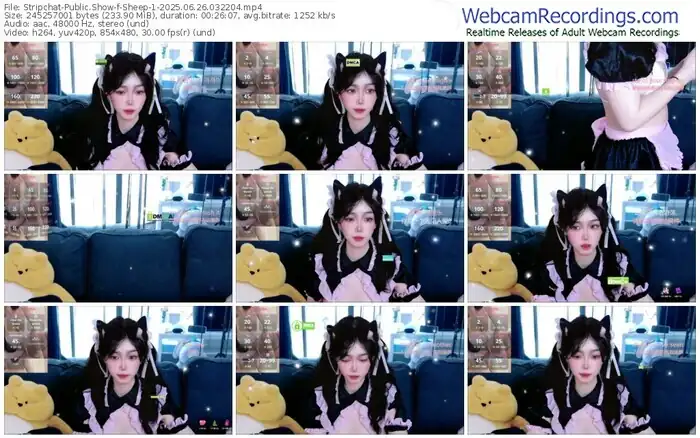 2025/06/26/stripchat-sheep-1-03-22-04