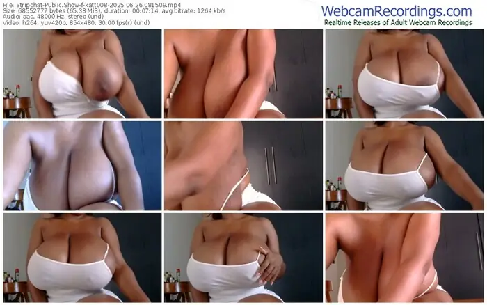2025/06/26/stripchat-katt008-08-15-09