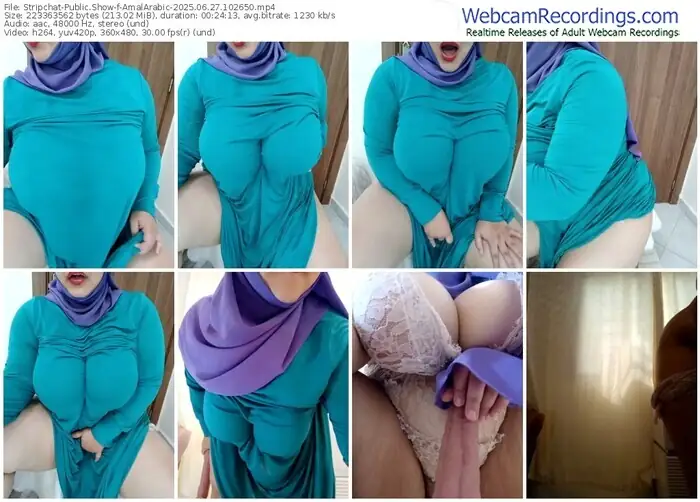 2025/06/27/stripchat-amalarabic-10-26-50