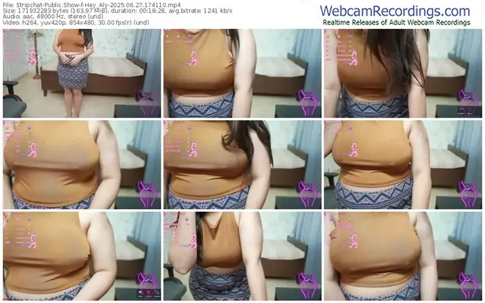 2025/06/27/stripchat-hey_aly-17-41-10