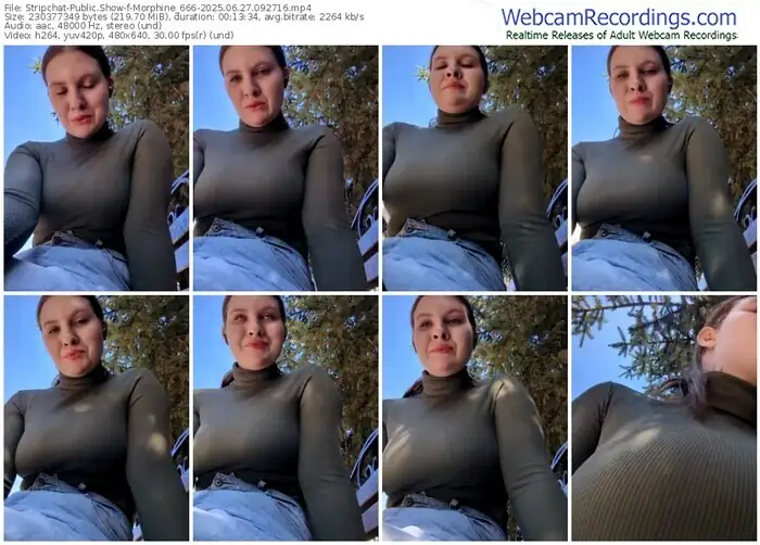 2025/06/27/stripchat-morphine_666-09-27-16