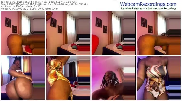 2025/06/27/stripchat-t-booty_risky_-10-58-29