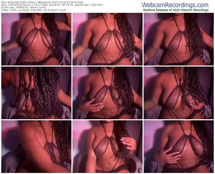 2025/06/28/stripchat-blaackcat-22-31-54