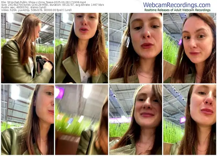 2025/06/28/stripchat-dina_tease-17-19-08
