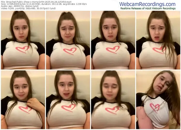 2025/06/28/stripchat-hornygirlh-22-54-59