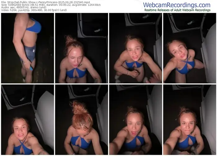 2025/06/28/stripchat-pennyprincess-23-25-40
