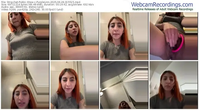 2025/06/28/stripchat-purplelinn-01-55-15