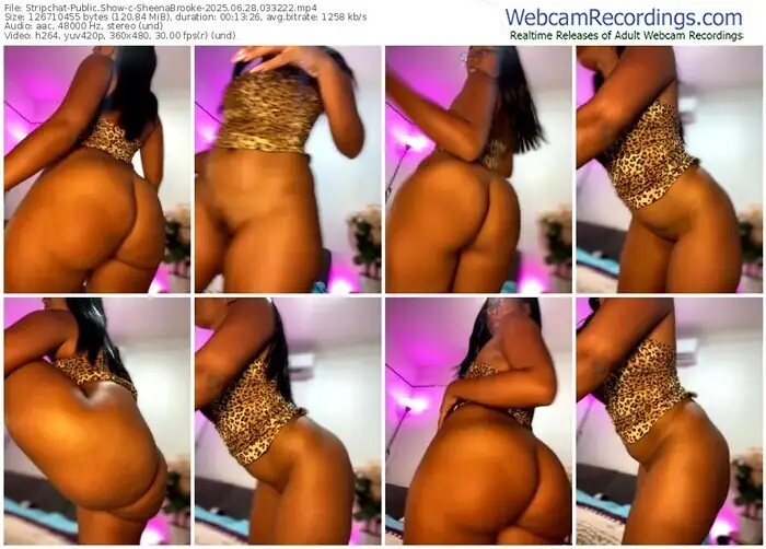 2025/06/28/stripchat-sheenabrooke-03-32-22