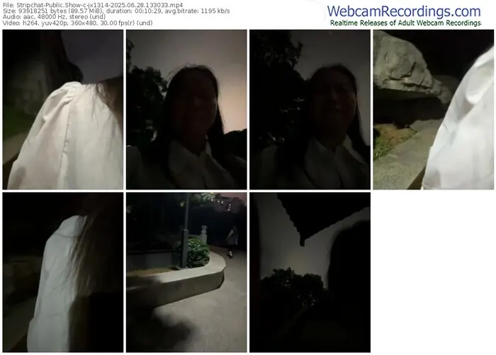 2025/06/28/stripchat-jx1314-13-30-33