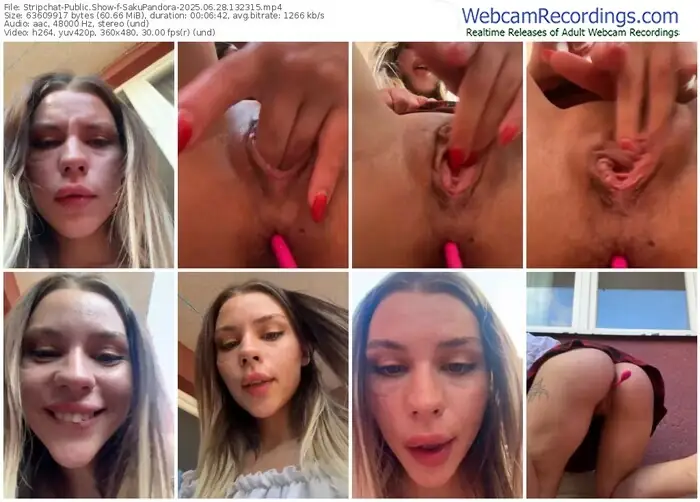 2025/06/28/stripchat-sakupandora-13-23-15