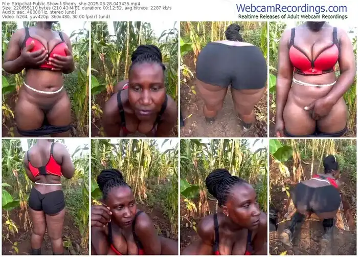 2025/06/28/stripchat-sherry_she-04-34-35