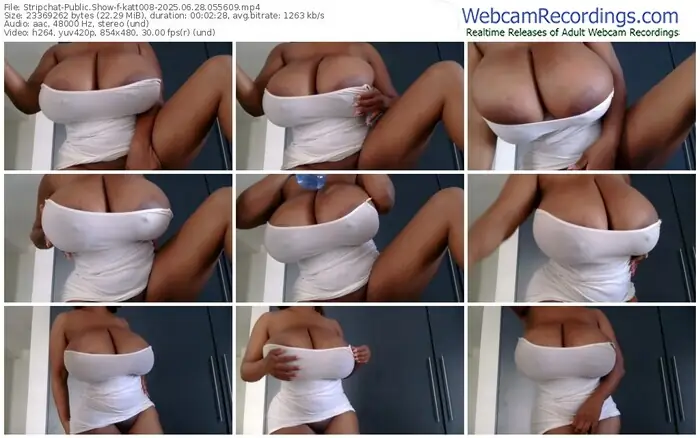 2025/06/28/stripchat-katt008-05-56-09
