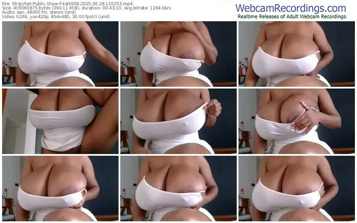 2025/06/28/stripchat-katt008-11-02-53