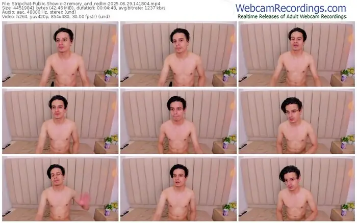 2025/06/29/stripchat-gremory_and_redlin-14-18-04