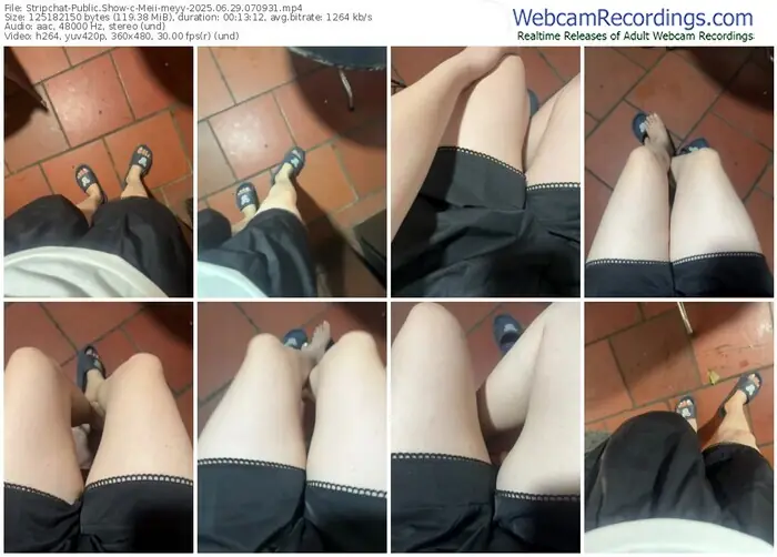 2025/06/29/stripchat-meii-meyy-07-09-31