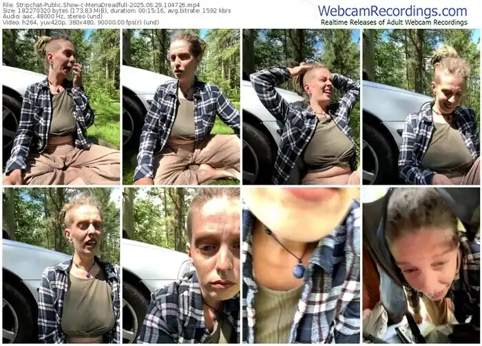 2025/06/29/stripchat-menadreadfull-10-47-26