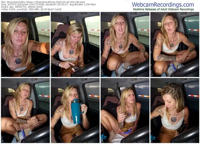 2025/06/29/stripchat-sheissomething-00-11-08